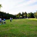 너른공원 게이트볼장 이미지