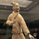 시안 이미지