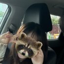 오유알헤어