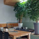 든든한 추어탕 힘나는 낙지볶음 이미지