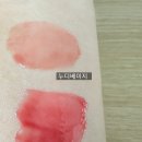 가립 | 에뛰드 조효진공동개발 진저슈가립세럼 (누디베이지,베일레드) 올리브영 내돈내산