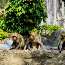다이아몬드와 원숭이 도시 태국 펫차부리의 성스런 국립공원 카오왕 이미지
