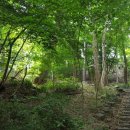 거북바위야영장 이미지