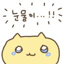 다올 에스테틱 이미지