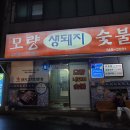 착한생돼지 이미지