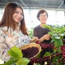 둥지농장 이미지