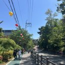 정상길 | 아차산 정상길 코스 등산 후 용마산 하산 후기🌳 등산초급자 추천코스 하산하다 영케이본 썰푼다