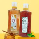 순수당 이미지