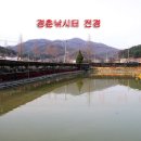 경춘낚시터 이미지