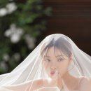 뉴제이 이미지