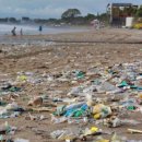 [사이언스타임즈] 플라스틱 오염이 가장 심각한 해산물은? 이미지