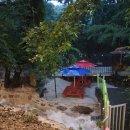 서가네오리 이미지