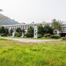 오궁초 네이버블로그