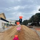 흥해서부초 병설유치원 | 포항 아이와 가볼만한곳 흥해서부초등학교 북송리 북천수 소나무 숲