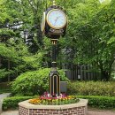 백마공원 이미지