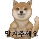사카바초 이미지