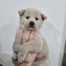 지에스25 청주삼성점