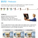 눈애안경콘택트 이미지
