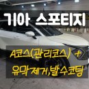 민타카디테일링