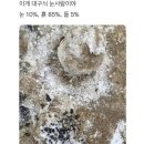 속사송어횟집 | [내돈내산] 평창_전나무 설경 숙소 &#34;밀브릿지&#34;