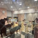 본죽좌동점 | 좌동필라테스 필라테스 리커버 가격 정보