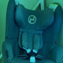 고양대로1119번길 | 카시트세탁 유모차세탁 우리아이 고양점 5년만에 세탁 후기