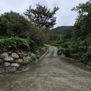 호남밥상 | 하동·구례 여행 2일차 | 동정호, 따신골녹차정원, 섬진다원, 구례 쌍산재, 들녘밥상, 익산미륵사지휴게소