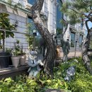 미사리밀빛초계국수 이미지