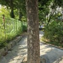 당산초교 이미지