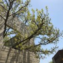 불루메미술관 이미지