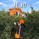 귤과나무 협동조합 | 제주 귤체험 카페 | 2월 시즌 막바지에 다녀온 내돈내산후기