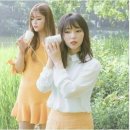시래 이미지