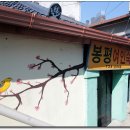 봉평여인숙 티스토리