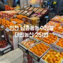 남촌농산 | 대인농산 251번 : 인천 남촌동농수산물 과일 명절선물 재구매 후기 + 택배가능