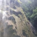 고래새참 | [필리핀 세부]_투말록폭포