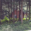 청태산자연휴양림 이미지