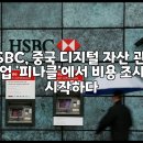 피나클자산관리