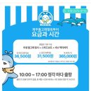 제주돌고래 힐링투어 후기, 제주 돌고래 투어 추천
