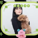 (주)영동스크랩 | 24년 11월 일상 모음_성수역맛집카페/24년일산메가주/무신사블프/롯데호텔월드도림