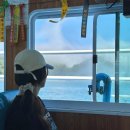 지에스25통영바다드림점 | 통영 섬여행 기록 연대도 : 국내 스노클링 가능한 만지도 바다 솔직한 후기