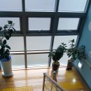 구립 큰별어린이집 이미지