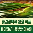 마늘종 짱아지 민드는 법 이미지