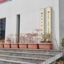 동양카츠 이미지