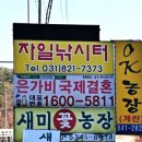 자일 낚시터