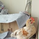 이순농장 이미지