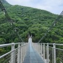 느티나무골펜션 이미지