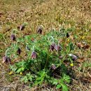 은산2리마을회관 이미지