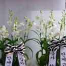 안계고등학교 이미지