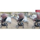 헤라시스