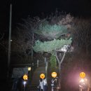 옥화상회 네이버블로그